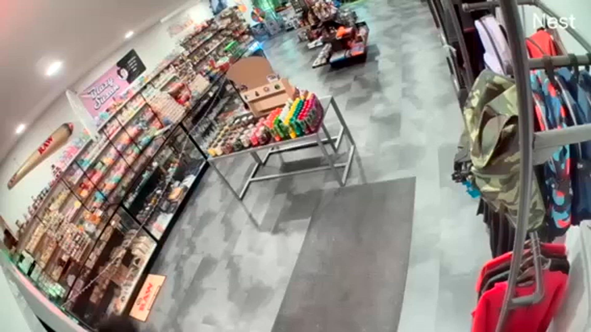 News 12 | New Jersey | Police 5 Men Caught On Camera Robbing Hackettstown  Smoke Shop