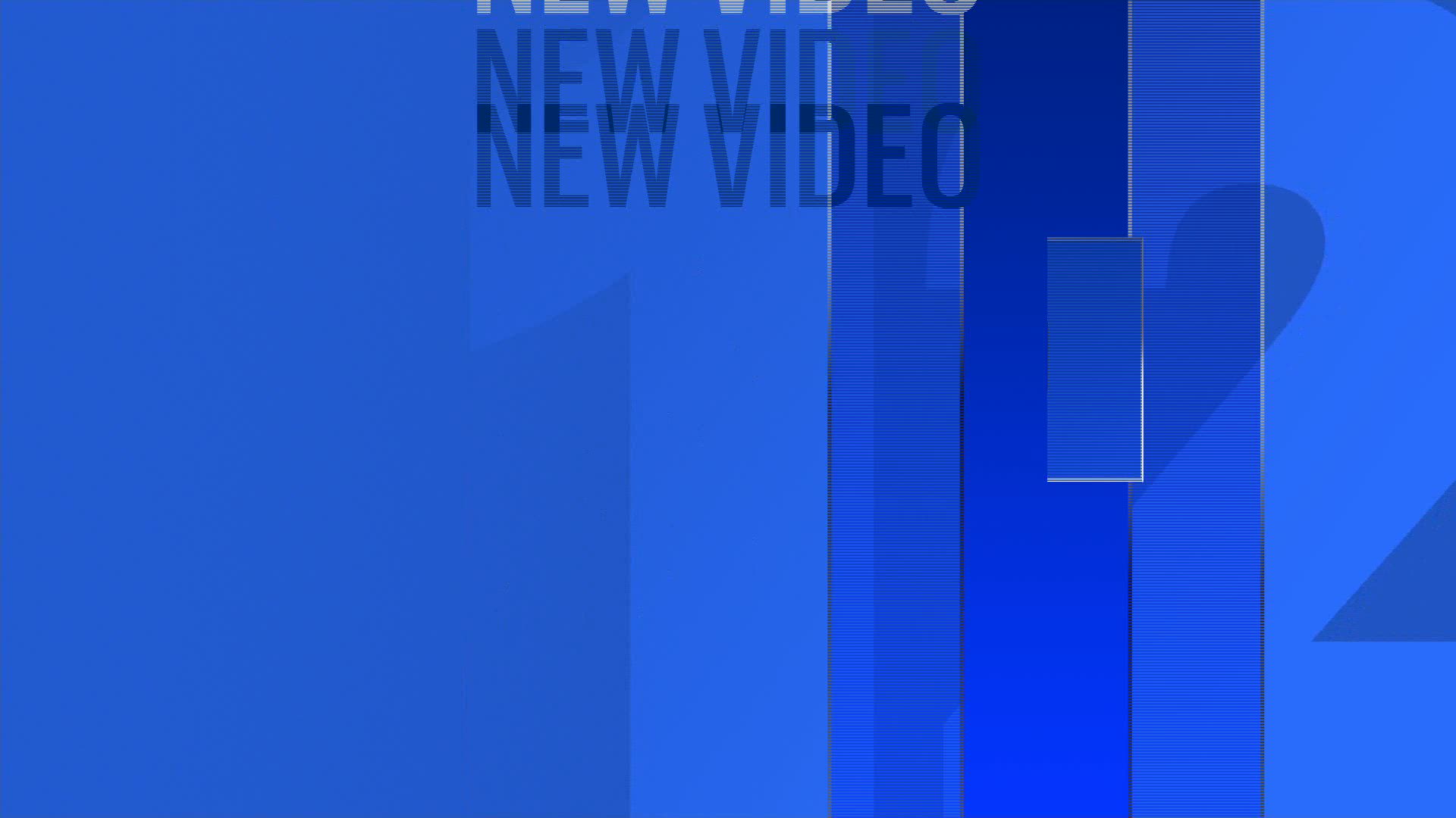 New video shows dramatic end of police pursuit on Saw Mill Parkway