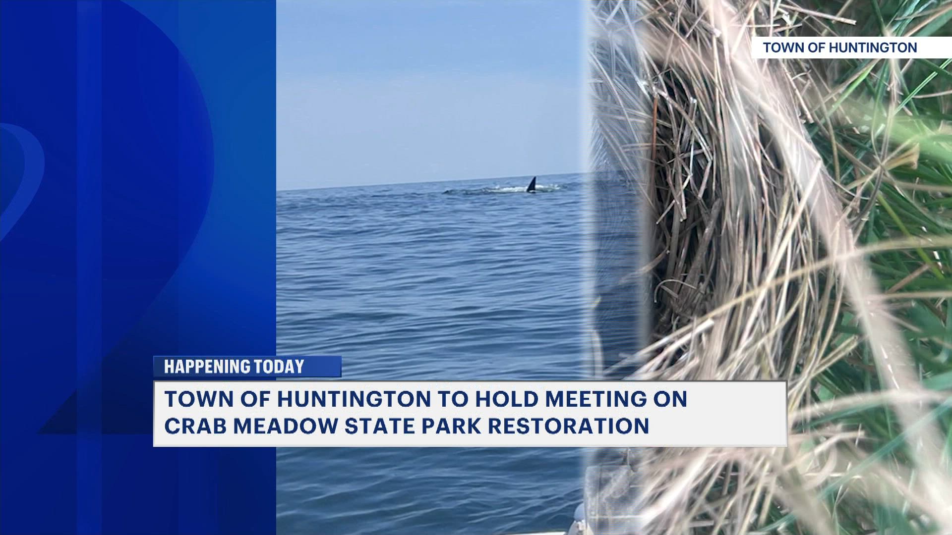 News 12 | New Jersey | Orca Whale Spotted 10 Miles Off Montauk
